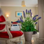 Ξενοδοχείο Alexain Restaurant & Wellness - Colmar Ouest