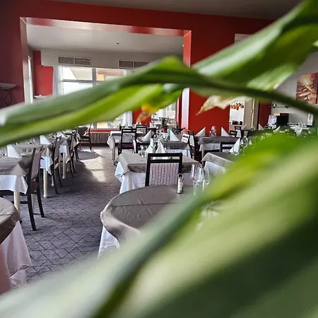Hotel Alexain Restaurant & Wellness - Colmar Ouest