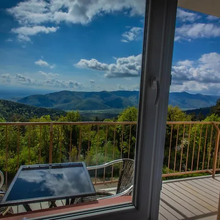 Alexain Restaurant & Wellness - Colmar Ouest 3* Trois-Épis