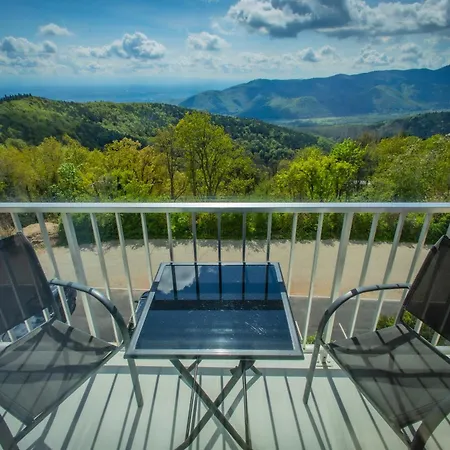 Otel Alexain Restaurant & Wellness - Colmar Ouest