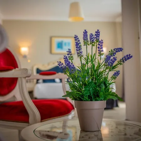 Otel Alexain Restaurant & Wellness - Colmar Ouest