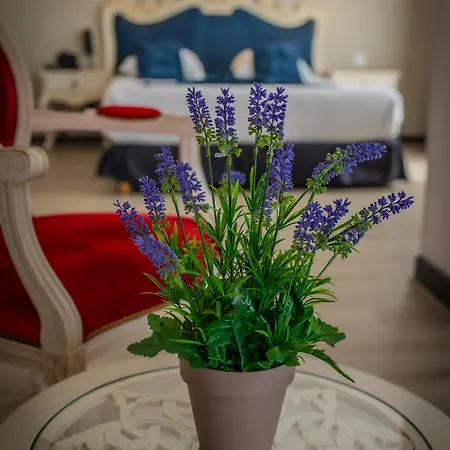 호텔 Alexain Restaurant & Wellness - Colmar Ouest