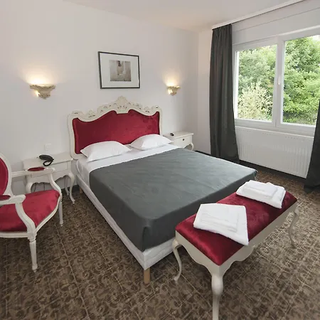 Otel Alexain Restaurant & Wellness - Colmar Ouest 3*