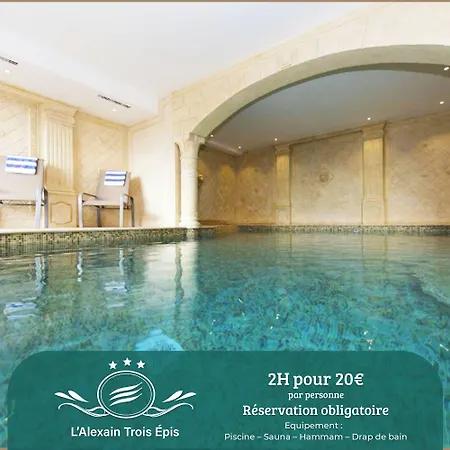 Hotel Alexain Restaurant & Wellness - Colmar Ouest