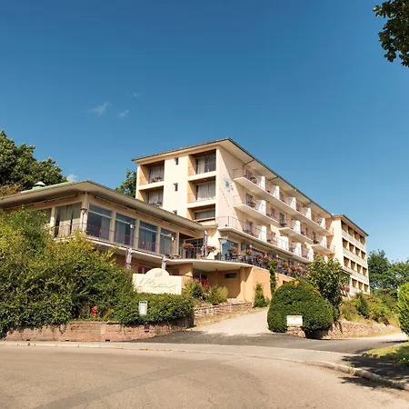 Alexain Restaurant & Wellness - Colmar Ouest