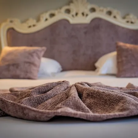 Hotel Alexain Restaurant & Wellness - Colmar Ouest 3*