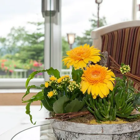 Hotel Alexain Restaurant & Wellness - Colmar Ouest