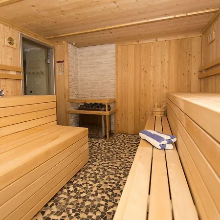 Alexain Restaurant & Wellness - Colmar Ouest 酒店 3*