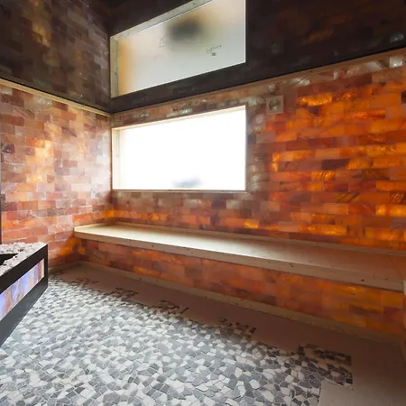 Hotel Alexain Restaurant & Wellness - Colmar Ouest 3*
