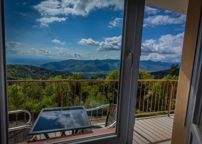 Alexain Restaurant & Wellness - Colmar Ouest 3* Trois-Épis