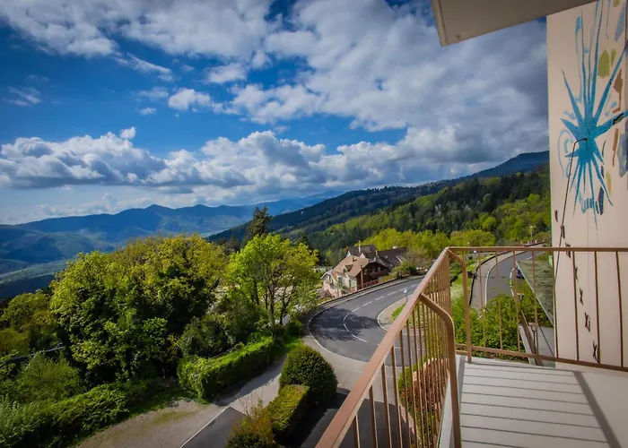 Alexain Restaurant & Wellness - Colmar Ouest