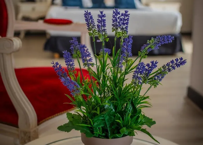 Otel Alexain Restaurant & Wellness - Colmar Ouest