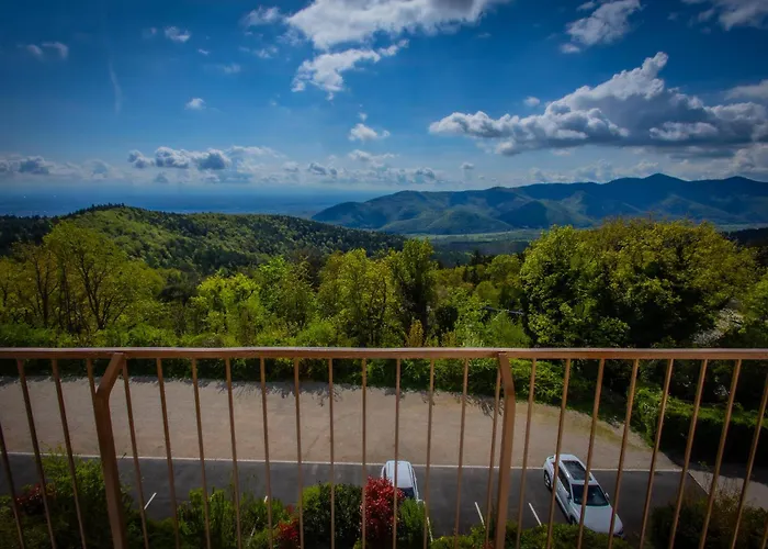 Alexain Restaurant & Wellness - Colmar Ouest Hotel Trois-Épis