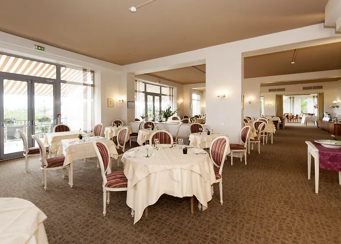 Alexain Restaurant & Wellness - Colmar Ouest 3*