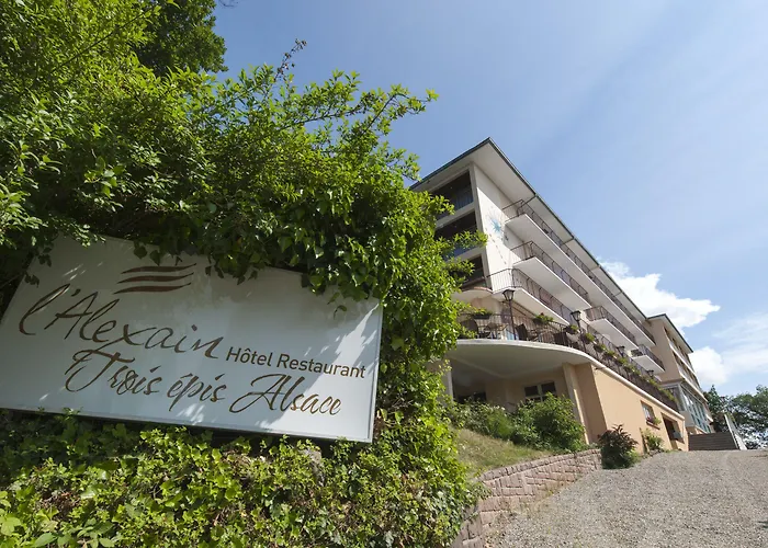 Alexain Restaurant & Wellness - Colmar Ouest 3*