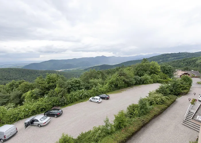 Alexain Restaurant & Wellness - Colmar Ouest 3*