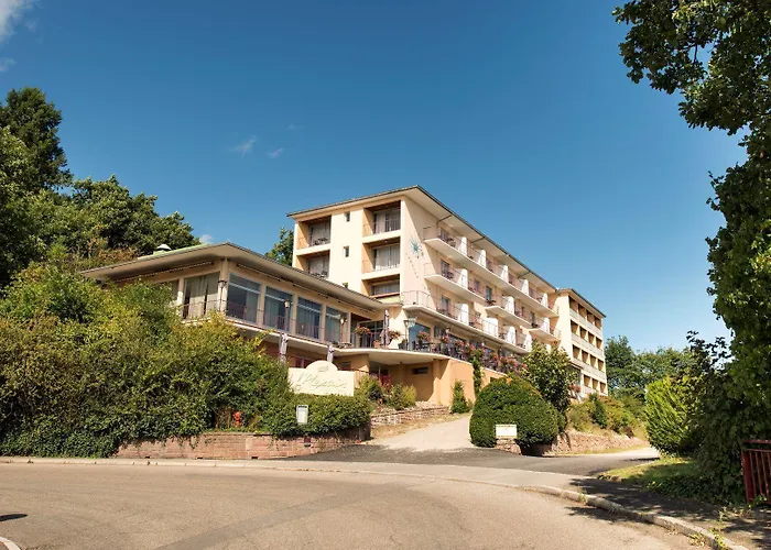 Alexain Restaurant & Wellness - Colmar Ouest