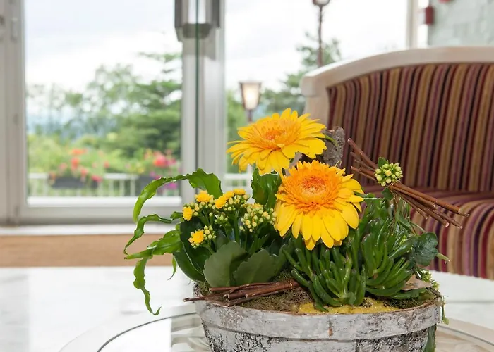 Hotel Alexain Restaurant & Wellness - Colmar Ouest